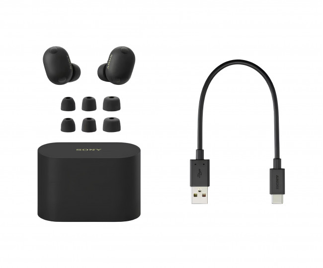 Навушники TWS Sony WF-1000XM6 Black